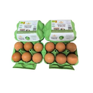 Huevos Ecológicos Extrafrescos de Tamaño XL y pastoreo regenerativo (2 Docenas en estuches de 6  huevos) – Granjas Teco