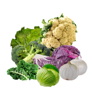 Canasta de verduras frescas de temporada con coliflor, brócoli, col morada y lechuga